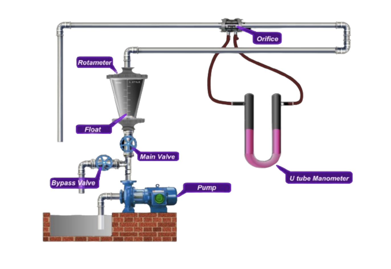 Label Diagram